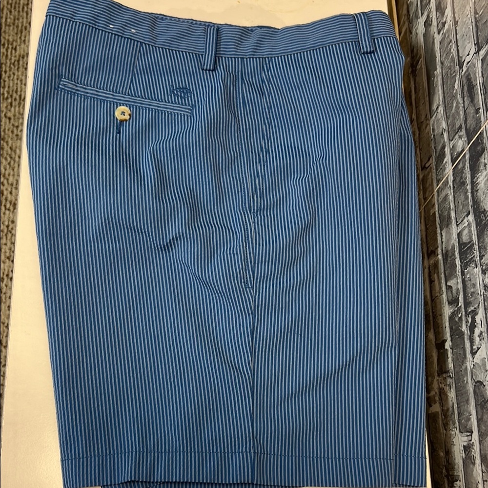 Blue Striped‎  Southern Tide Men's Shorts